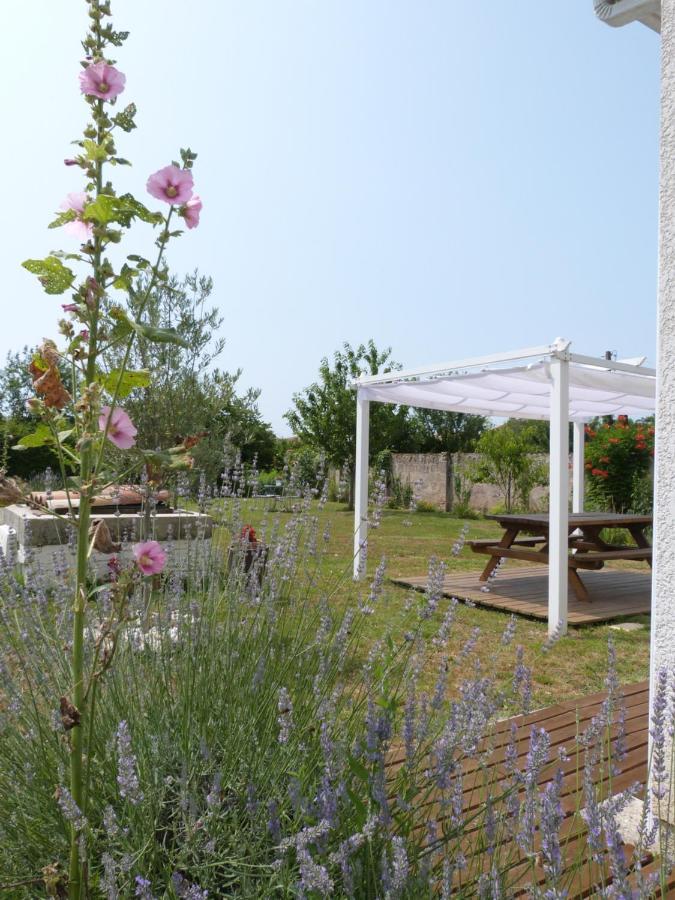 Gite Le Cherche Midi Gaillac Kültér fotó