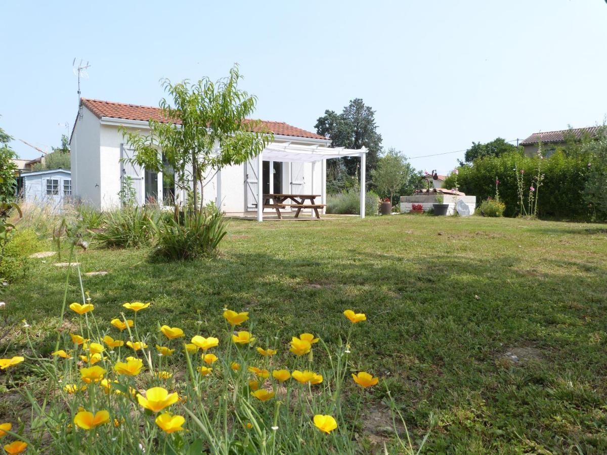 Gite Le Cherche Midi Gaillac Kültér fotó